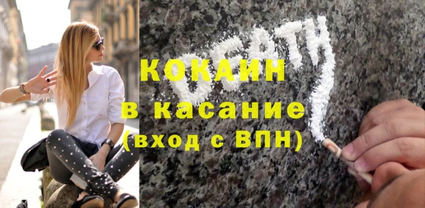 шишки Абаза