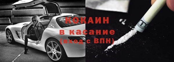 шишки Абаза