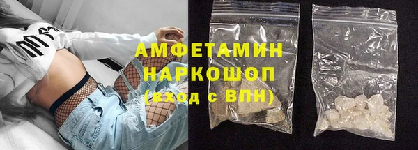 шишки Абаза