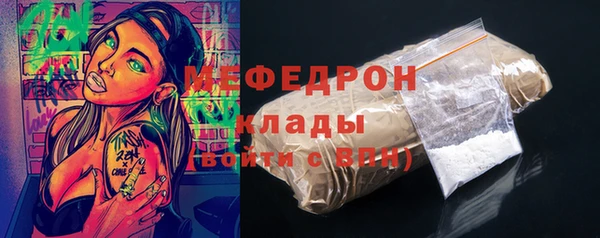 шишки Абаза
