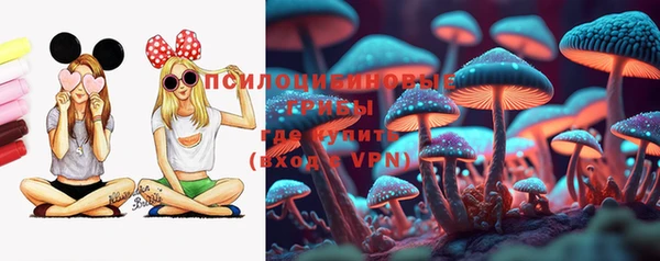 ешки Абинск