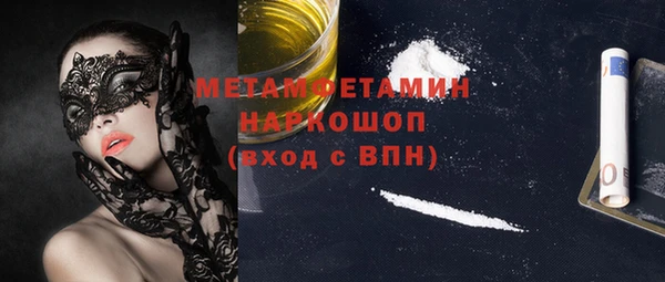 шишки Абаза