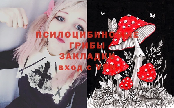 шишки Абаза