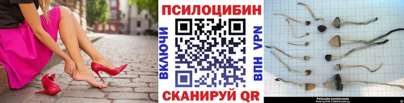 Галлюциногенные грибы Magic Shrooms Кохма